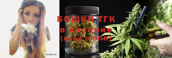 дмт Алексин