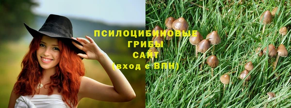 дмт Алексин