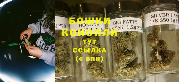 гашик Алексеевка