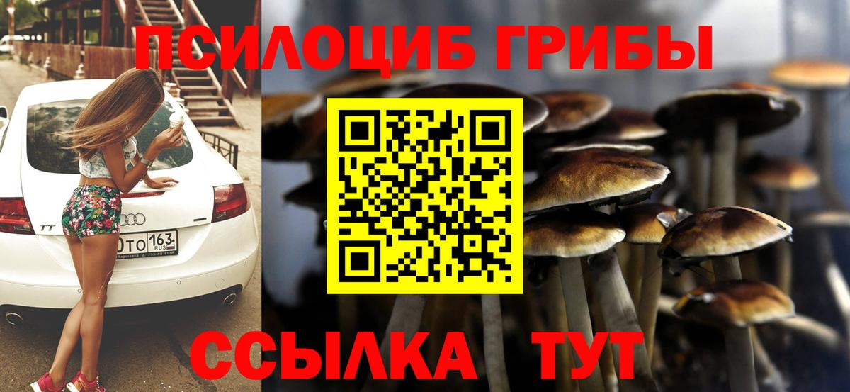 Карабулак  Псилоцибиновые грибы GOLDEN TEACHER  Вход с VPN 