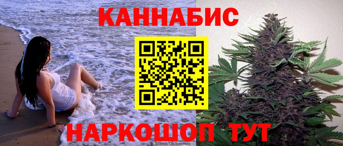 Конопля индика Карабулак
